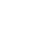 Brawijaya Core Logo