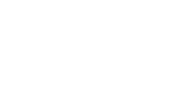 Brawijaya Core Logo